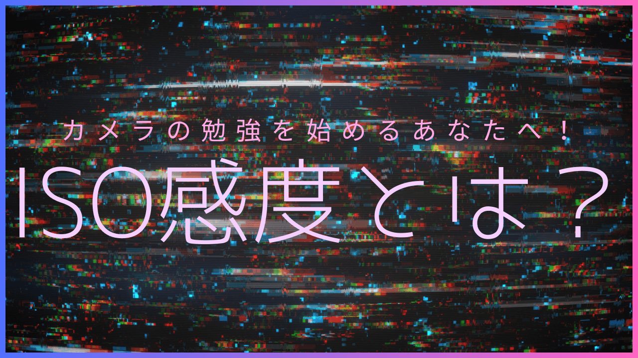 ISO感度とは？のサムネイル