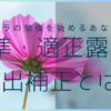 標準・適正露出、露出補正とは？のサムネイル画像