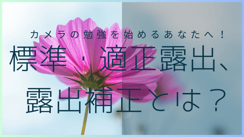 標準・適正露出、露出補正とは？のサムネイル画像