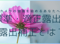 標準・適正露出、露出補正とは？のサムネイル画像