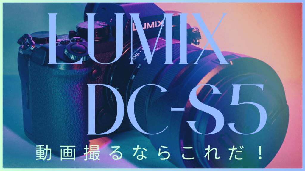 LUMIX DC-S5レビュー記事のサムネイル画像