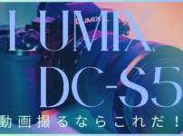 LUMIX DC-S5レビュー記事のサムネイル画像