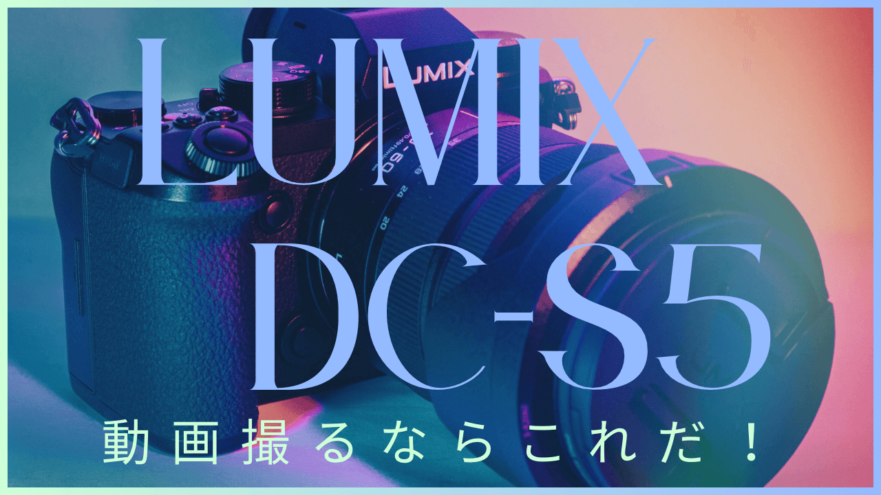 LUMIX DC-S5レビュー記事のサムネイル画像